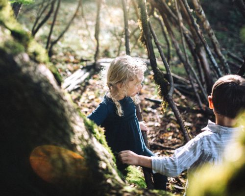 Kinder der Kindergruppe, die den Wald erkunden